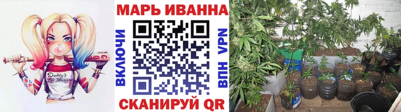 дарнет шоп  Фокино  Бошки Шишки Amnesia 